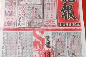 3/24龍報~六合彩參考看