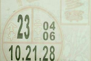 3/24福多寶>>>>六合彩參考看看