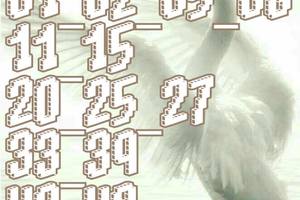 3/24六合彩低機參考看看>>!不保證開唷