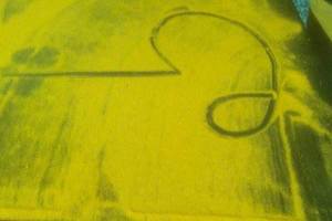 3/24神明牌>>>六合彩參考看