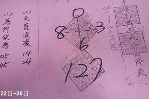 3/24土庫新興義民爺>>>六合彩參考看