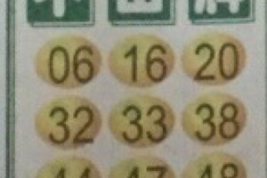 3/24不出牌>>>>六合彩參考看