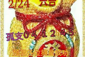 3/24六合彩參考看>>>>孤支04.12.45參考