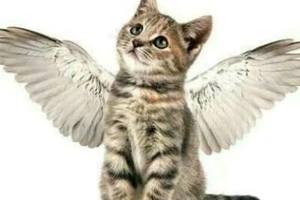 3/24香港六合彩參考看~祝中三星