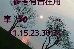 3/24今彩539參考看>>>座車30參考看