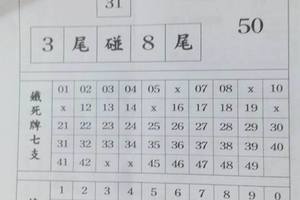 3/24冠天王>>>六合彩參考看