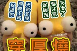 3月26日六合參考 