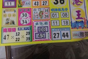 3/26港王>>>六合彩參考看