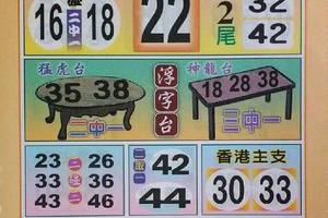 3/26五路財神全車22參考看~六合彩參考看