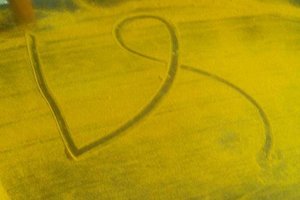 3/26神明牌>>>預祝各為中三星.四星~參考看神明牌