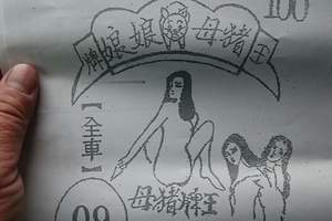 3/26豬母娘娘>>>六合彩參考看看