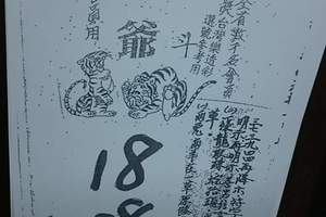 3/26北斗虎爺>>>>六合彩參考看看