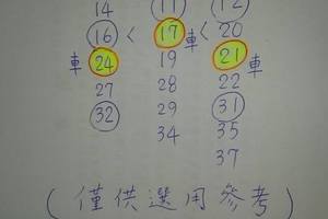 3/25今彩539參考看>>>17.21.24參考座車車