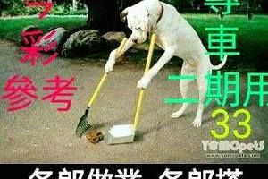 3/25今彩539參考看看>>>專車33參考