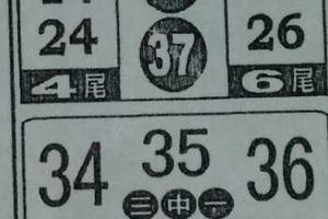 3/25今彩539參考看>>>>祝大家今晚領紅包