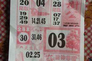 3/26大樹公>>>>六合彩參考看