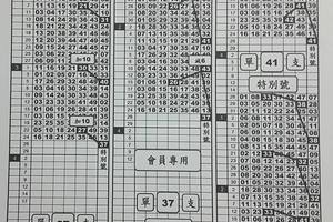 3/26六合彩版路參考看看>>祝順利開出>>>41.45天二碰參考看