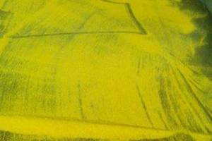 3/29神明牌~六合彩參考看