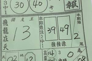 3/29當日時報>>>>六合彩參考看