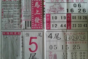 3/29馬上發~六合彩參考看看