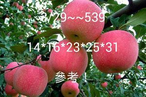 3/29今彩539參考看((((祝中獎)))))