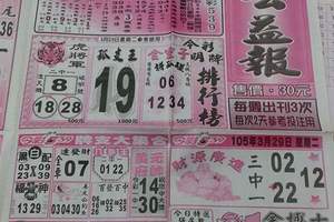 3/29公益彩報>>>>參考看看(((祝中頭獎)))