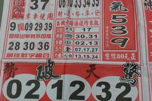 3/29福氣539>>>參考看看>>>((((祝中頭獎))))