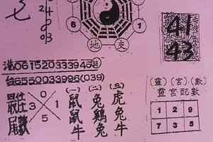 3/29天地宮~六合彩參考看