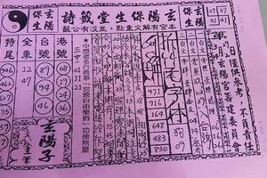 3/29玄楊寶生堂籤詩~六合彩參考看