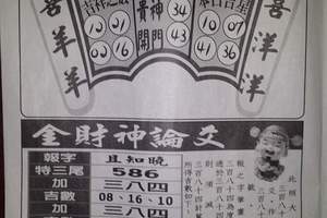 3/29金財神論文~六合彩參考看