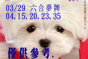 3/29懷特狗報牌~六合彩>>參考看((((祝大家今晚領紅包)))))