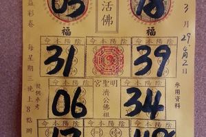 3/29天龍山~六合彩參考看