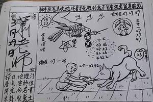 3/29蕭老師~六合彩參考看