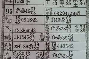 3/29六合彩資訊王~參考看