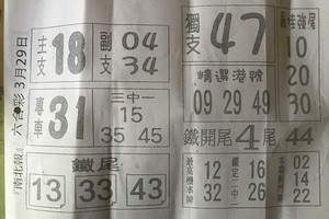 3/29南北報>>>六合彩參考看