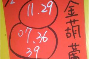 4/2金葫蘆~六合彩參考看