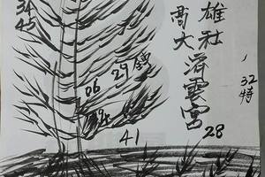 4/5濟雲宮~六合彩參考看