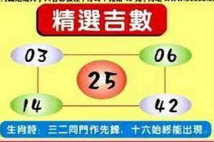 4/5精選吉數~六合彩參考看