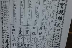 4/5龍華玉寶殿解文~六合彩參考看