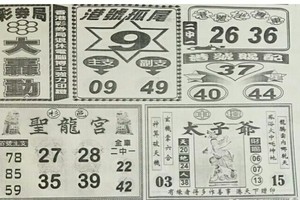4/17大轟動~六合彩參考看