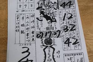 4/30嘉義濟公禪堂~六合彩參考看