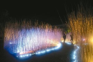 台灣燈會虎尾主燈 下月9日點亮