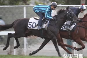 【子健講馬】兩大神器令一匹馬變身！