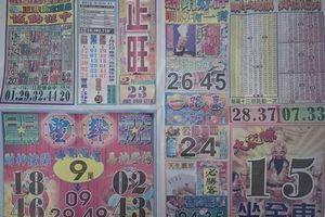 2/23正旺~六合彩參考看看