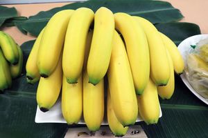 香蕉6月增產上市 農委會調產銷