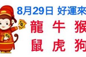 8月29日生肖運勢_龍、牛、猴大吉