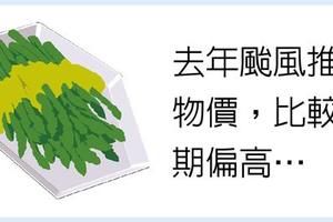 消費生活: 10月CPI跌0.32％ 創26個月最大跌幅