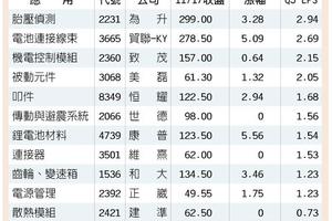 12檔電動車族群 逢低布局