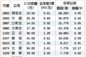 元/15號 10檔外資天天買 犀利