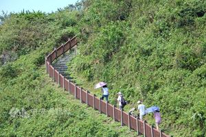 垃圾場變身公園 訪花賞蝶探索海岸林道